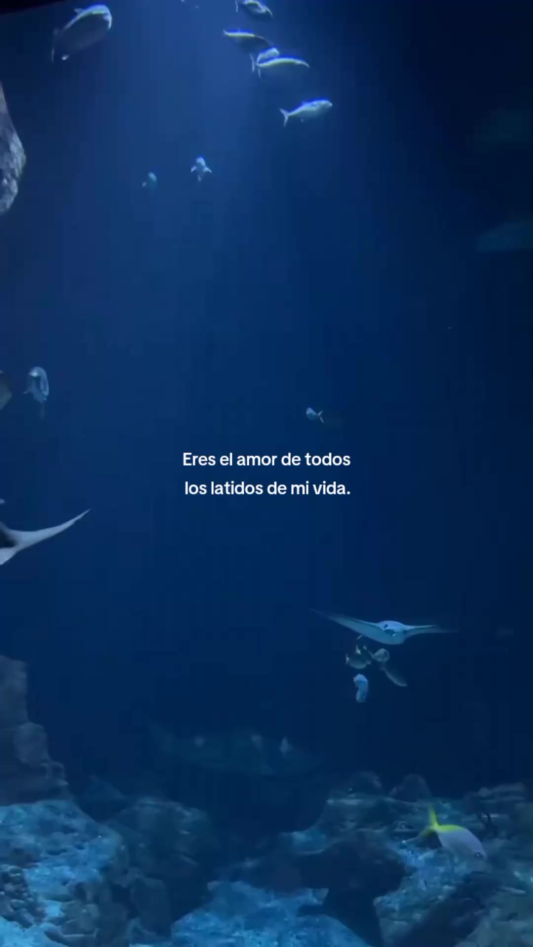 @Mariana
