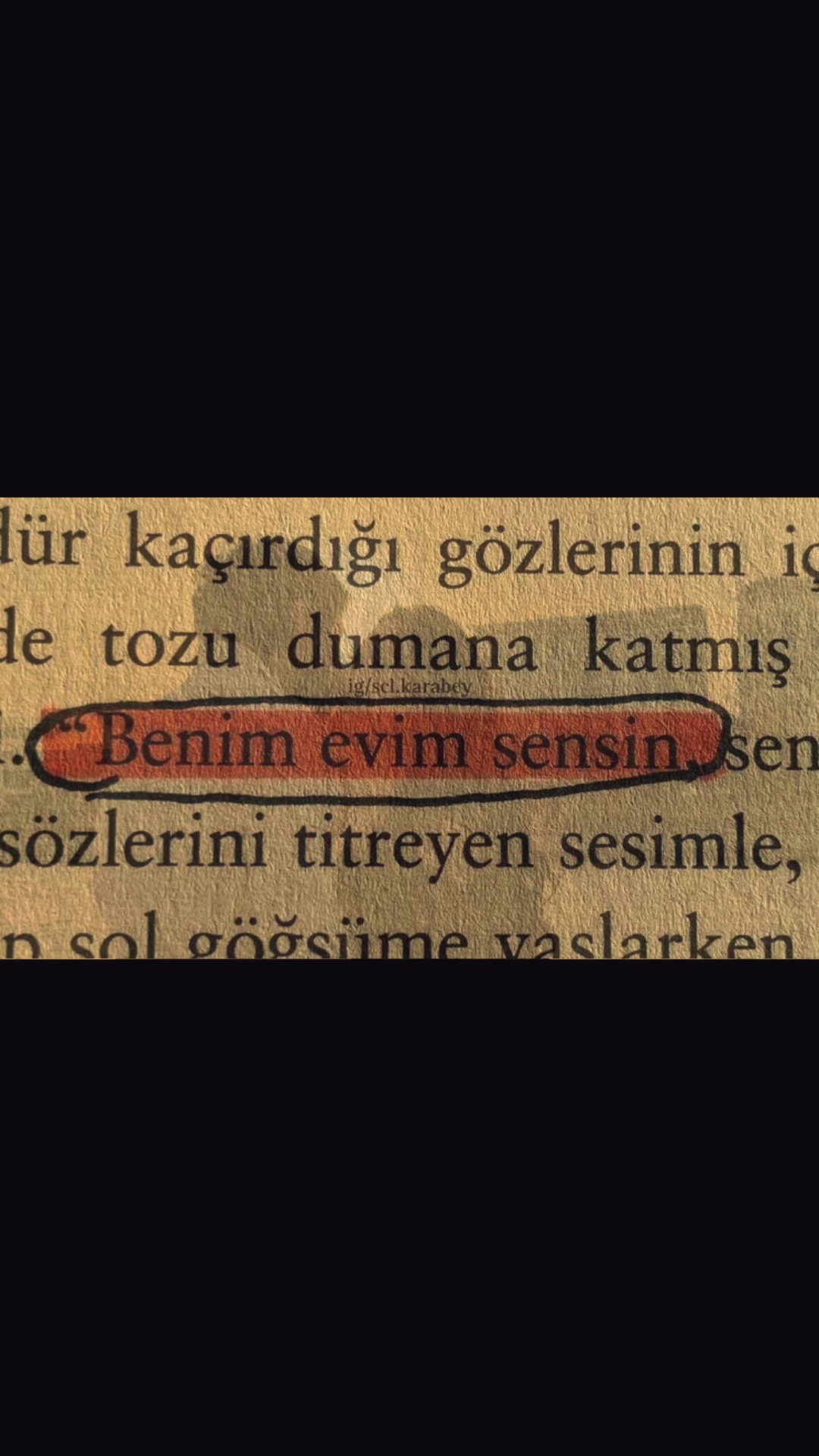 @Aysel Şükürova