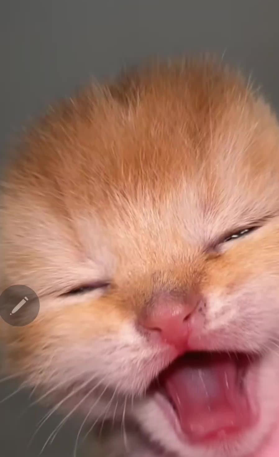 @Mooon