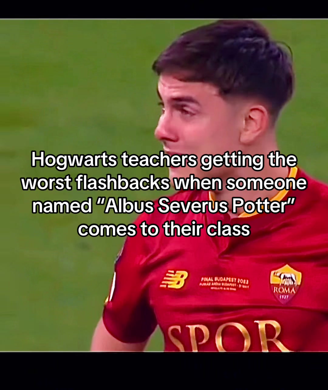 @Hoggy Warty Hogwarts ⚯͛ △⃒⃘