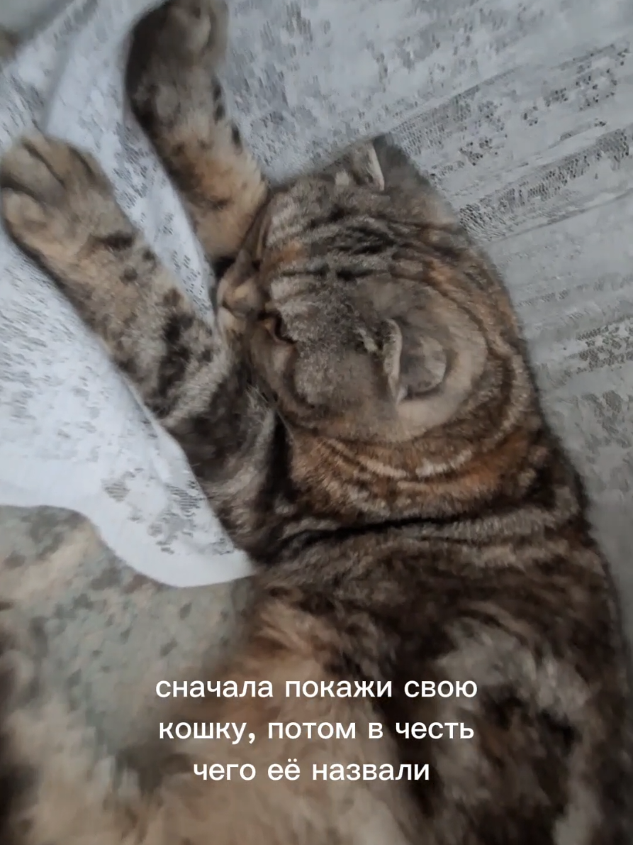@таня⚡
