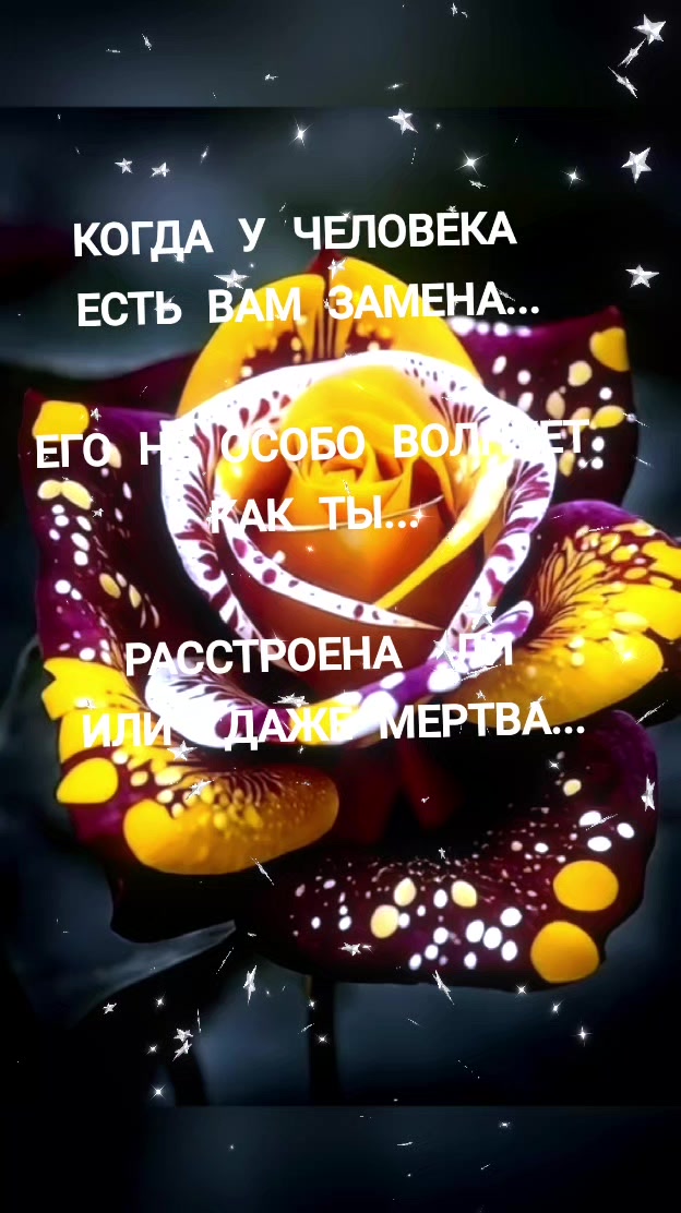@Алиса