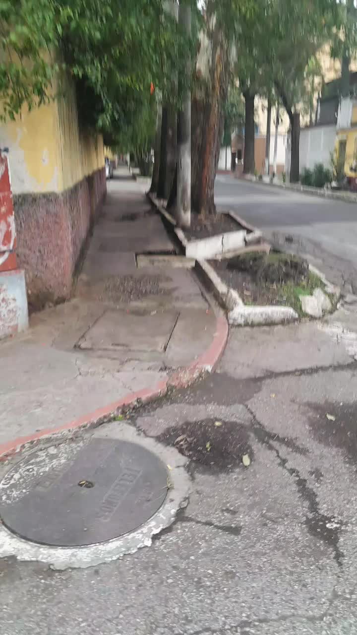 @Fernando Meneses