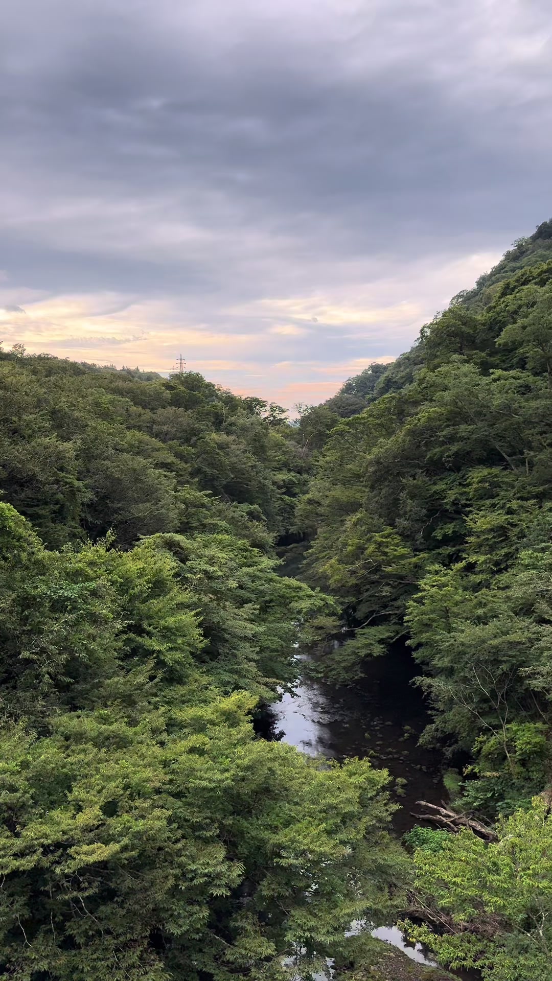 @japan.guidepal