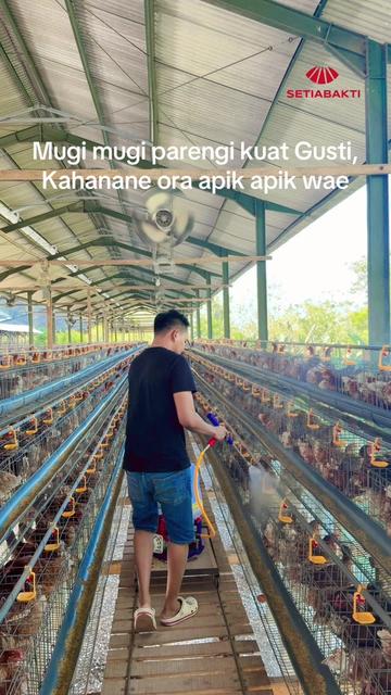 @Maz BOY😎