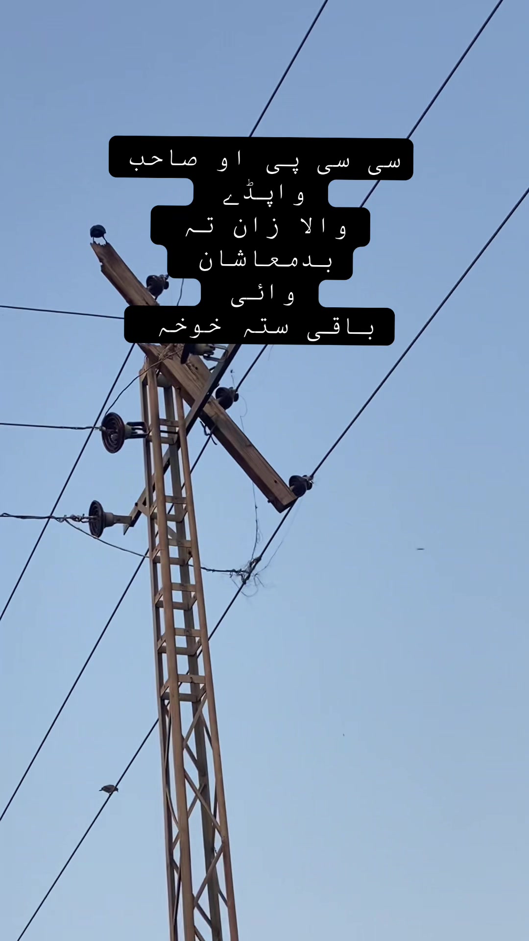 @𝐅𝐚𝐳𝐥𝐢 𝐌𝐚𝐮𝐥𝐚 🇵🇰🇵🇸