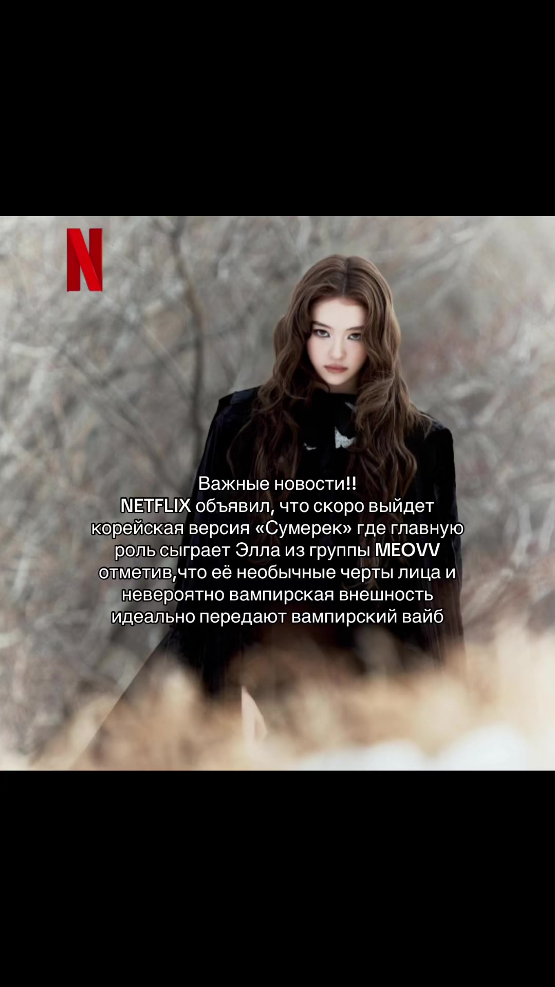 @🐈⬛помпом🐈⬛