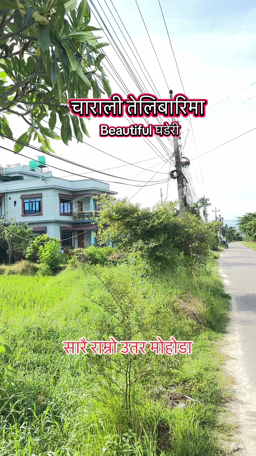 @Maikal ghar jagga