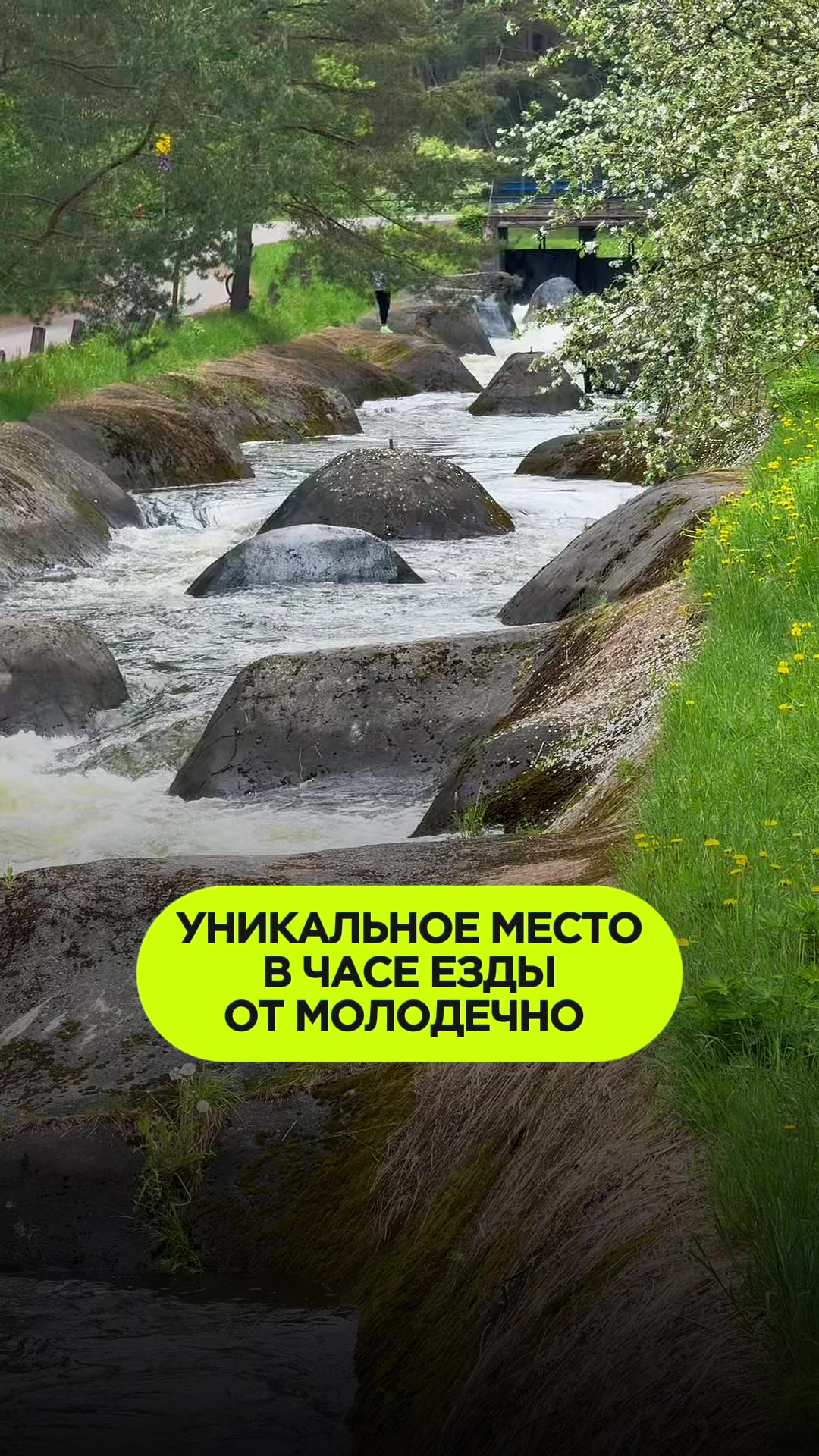@molodechno.today