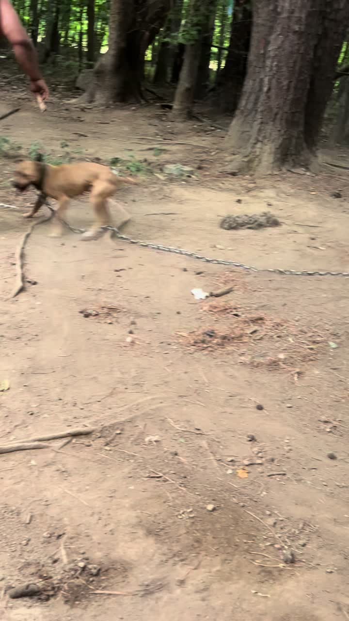 @MoneyTalkKennels