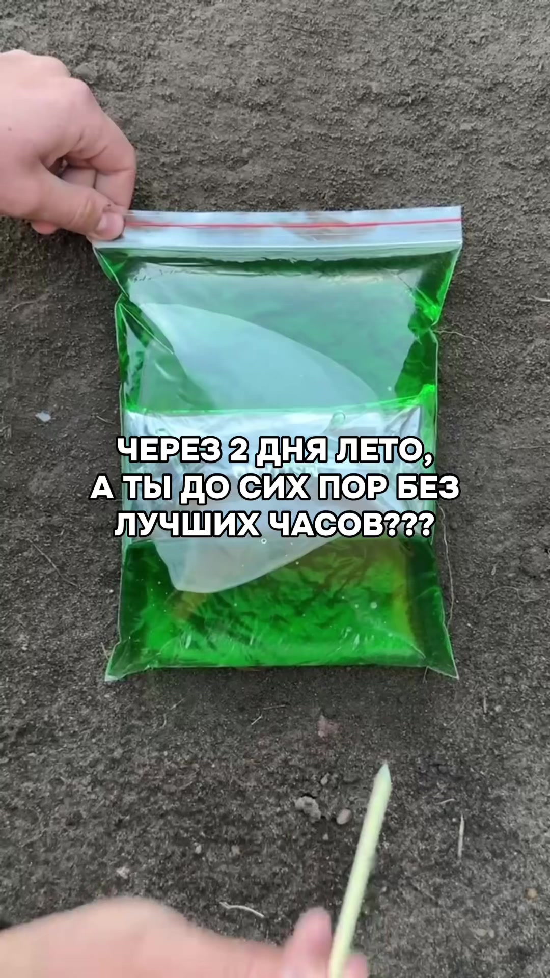 @BulbaTime