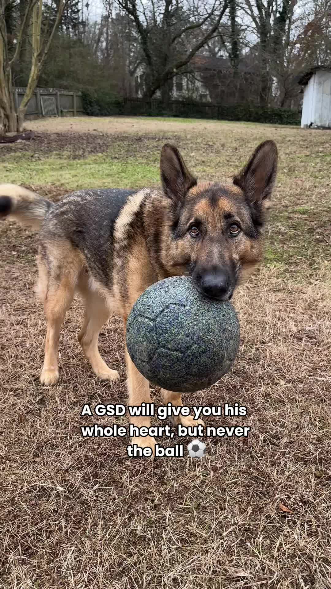 @Best Boy Benson