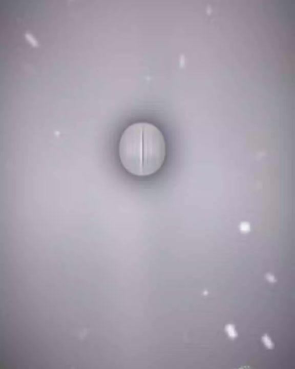 @𐙚⋆&deg;｡♡ 𝗠𝗼𝗝𝗮𝗥〲𝗔𝘀𝗧𝗮𝗡𝗔