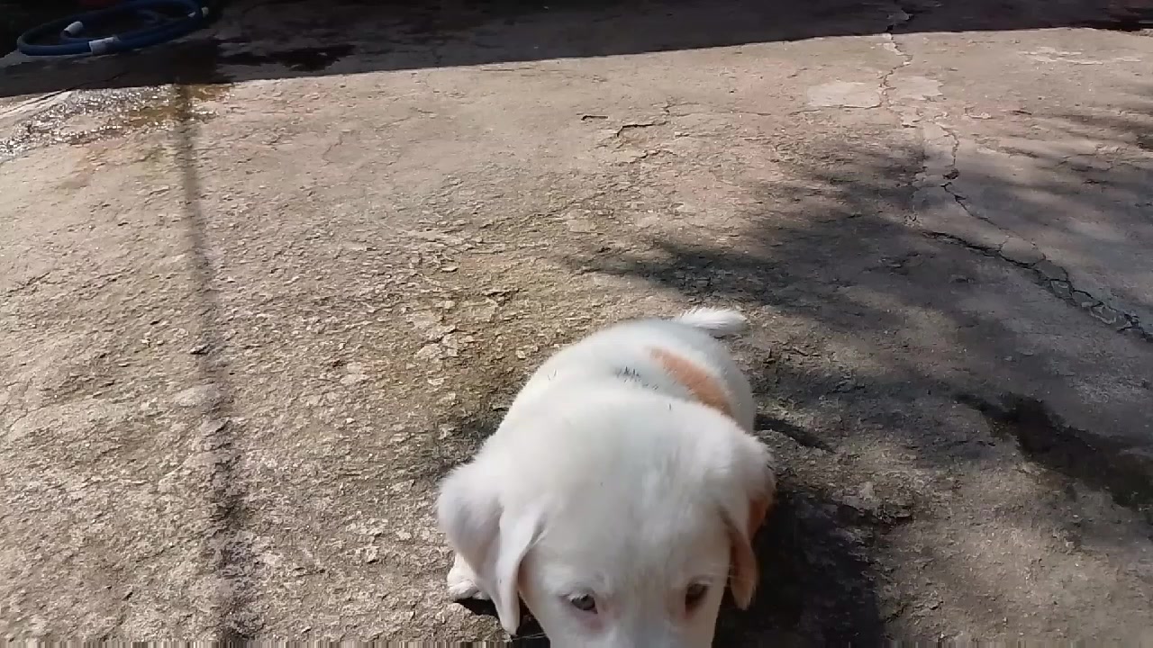 @NaSiRqUrEsHi