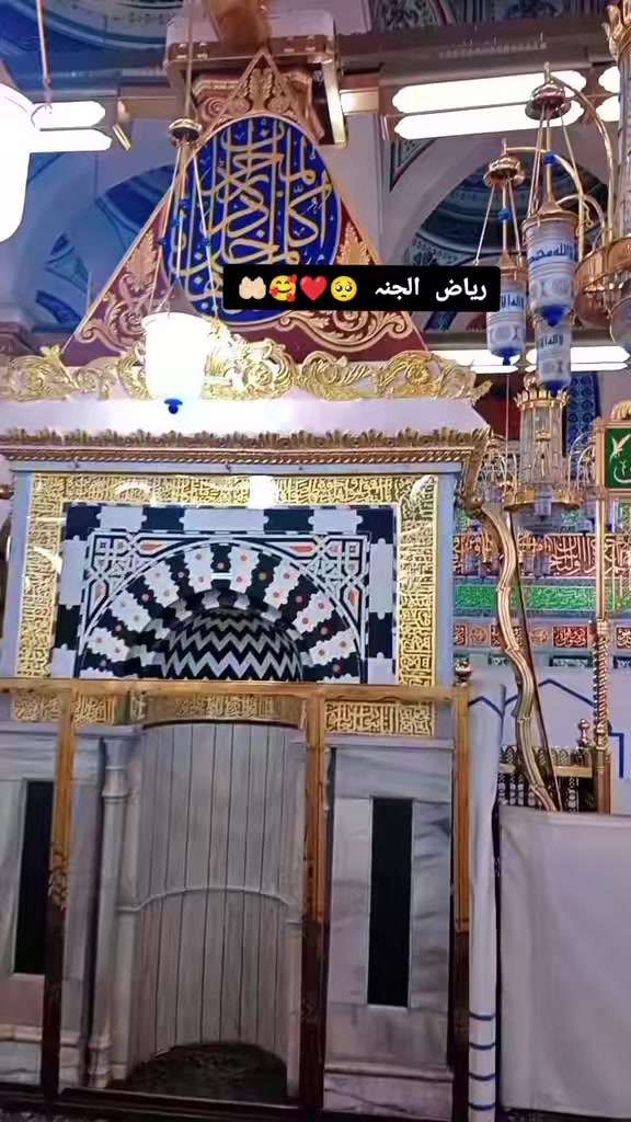 @🕊️🌸ـﮩﮩᎪຮ𝖍&upsilon;