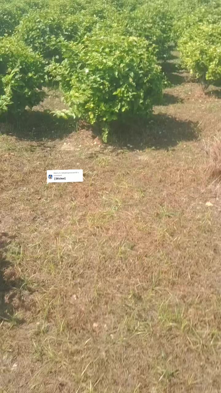 @பேப்பர் ஐடி 248 🌹1