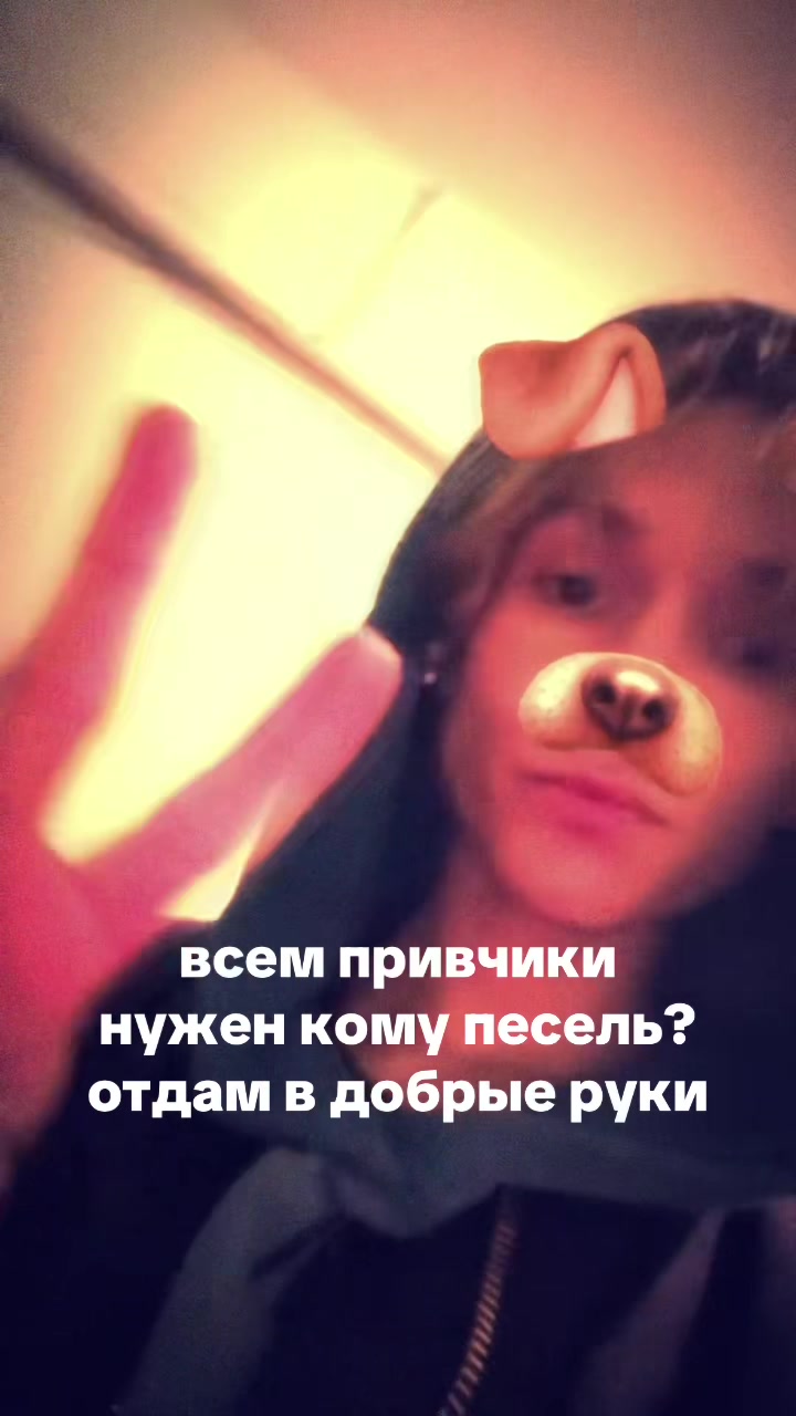 @sexingucci