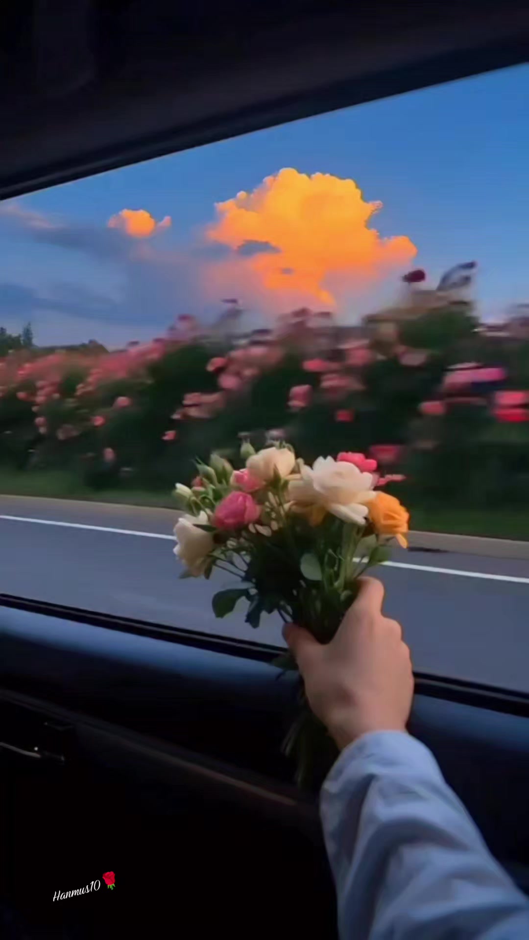 @๐ฆ Hanife ๐