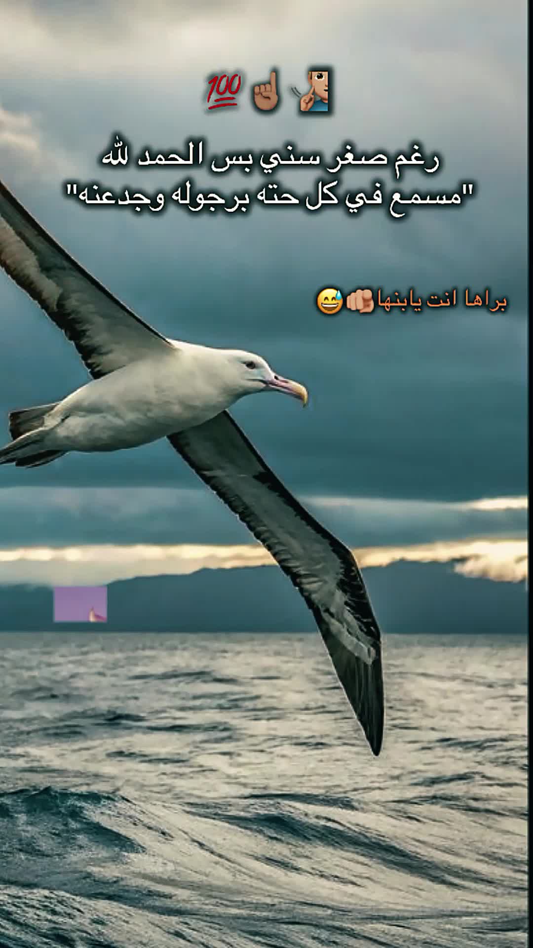 @๐ป๐ฐ๐ฒ๐จ๐ฆ
๐ฅ