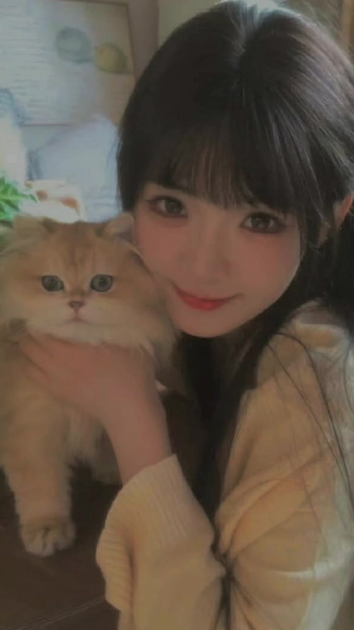 @莉莉崽