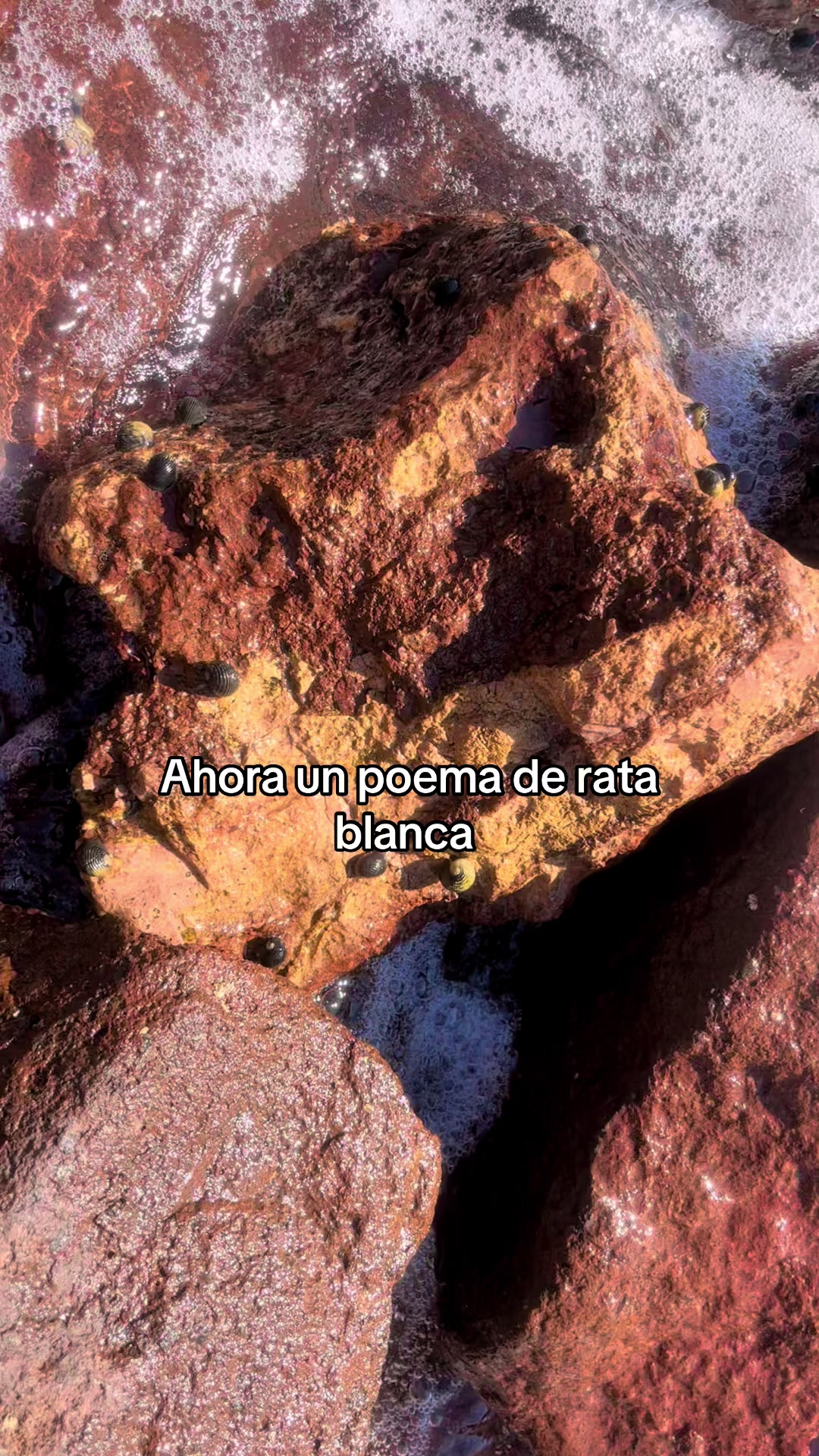 @Esp&iacute;ritu de f&eacute;nix 🐦&zwj;🔥