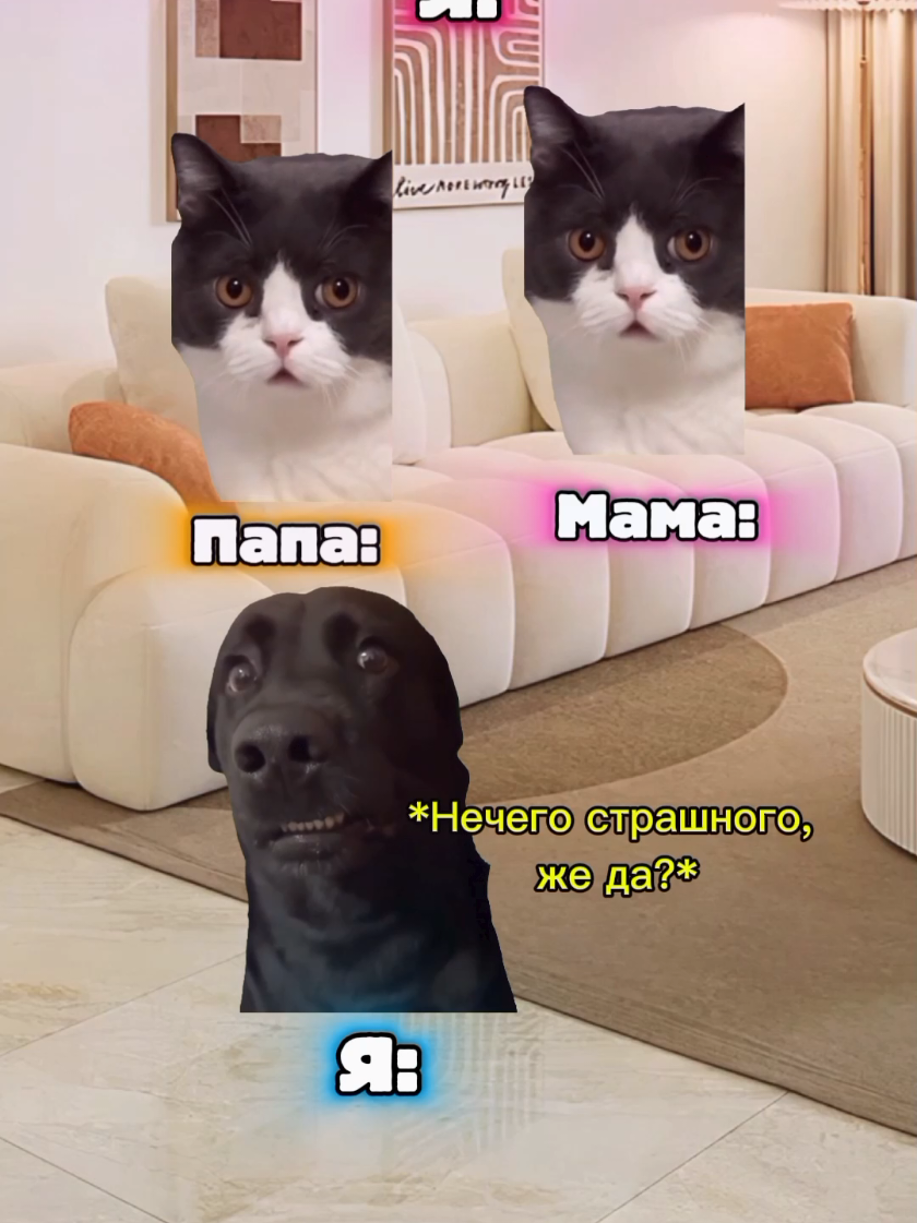 @MisterCat