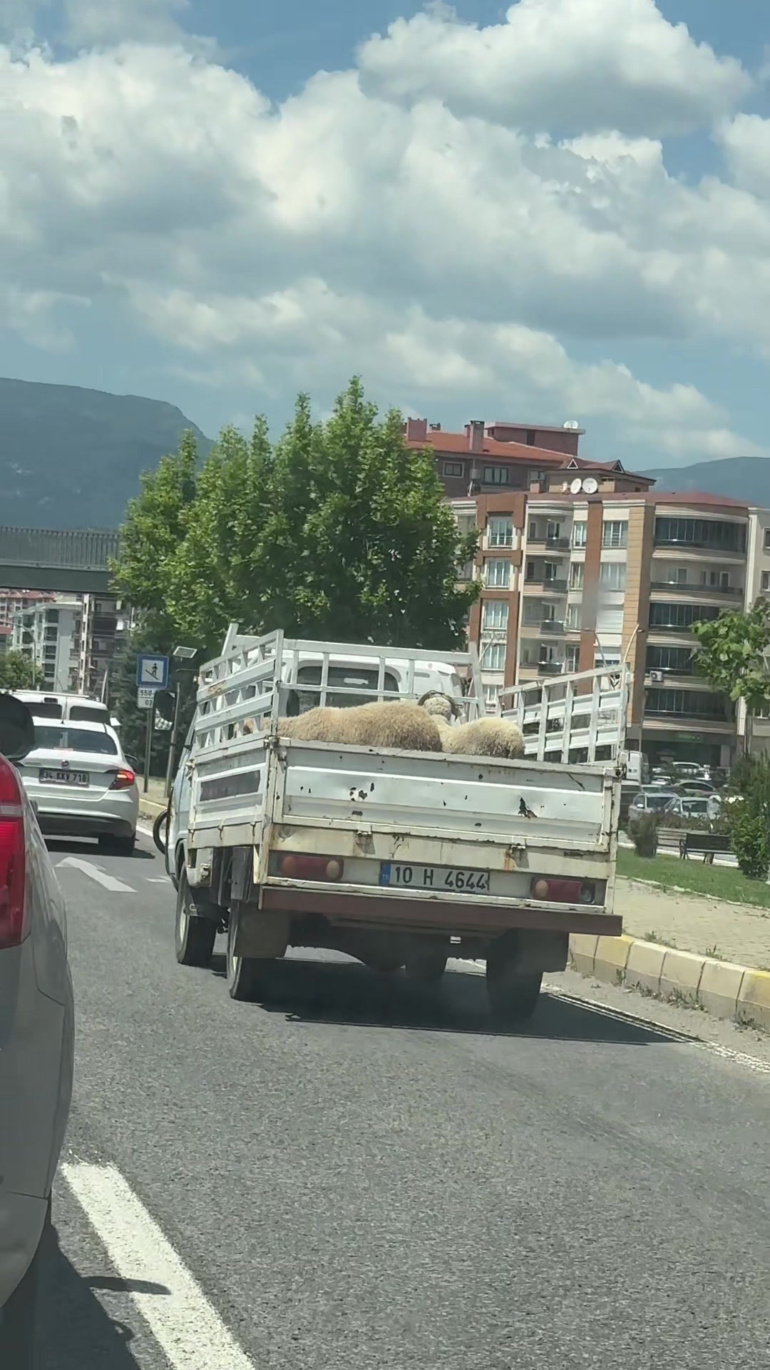 @Hande &Uuml;ng&ouml;rgil Molder