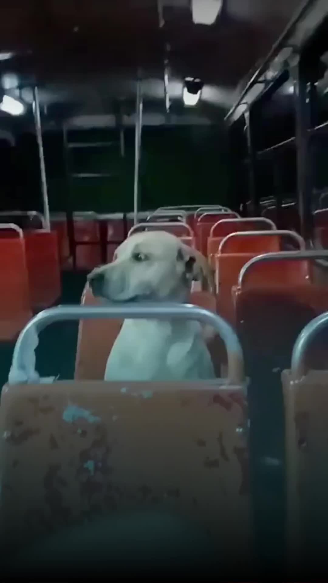 @Entre l&iacute;neas