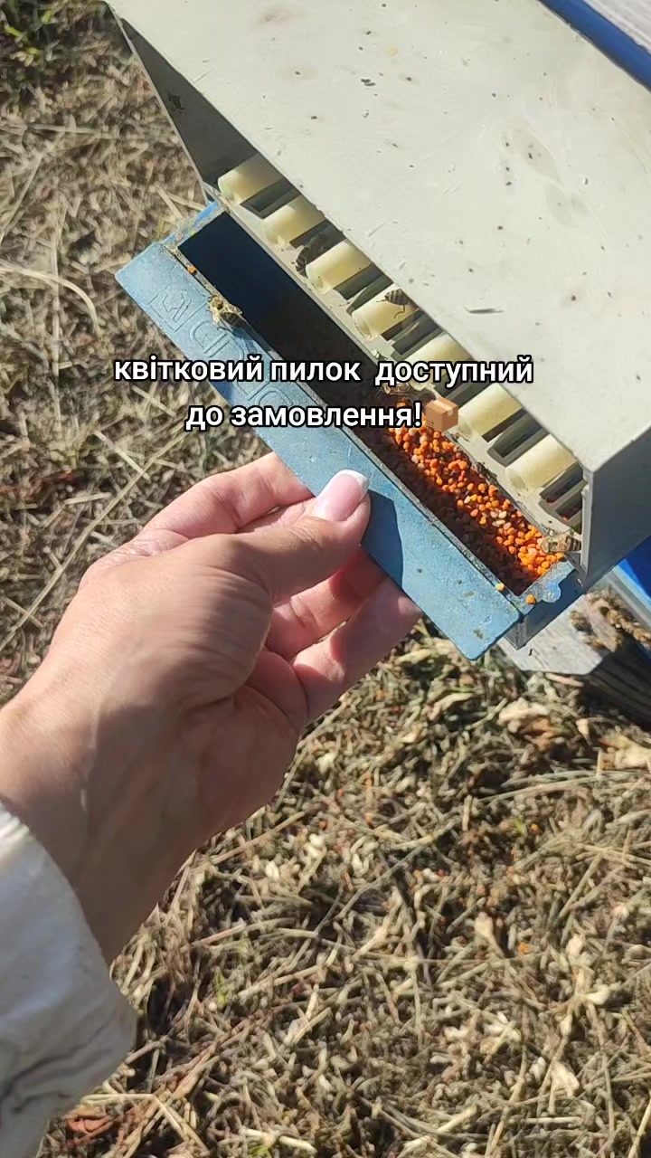 @Берецький мед