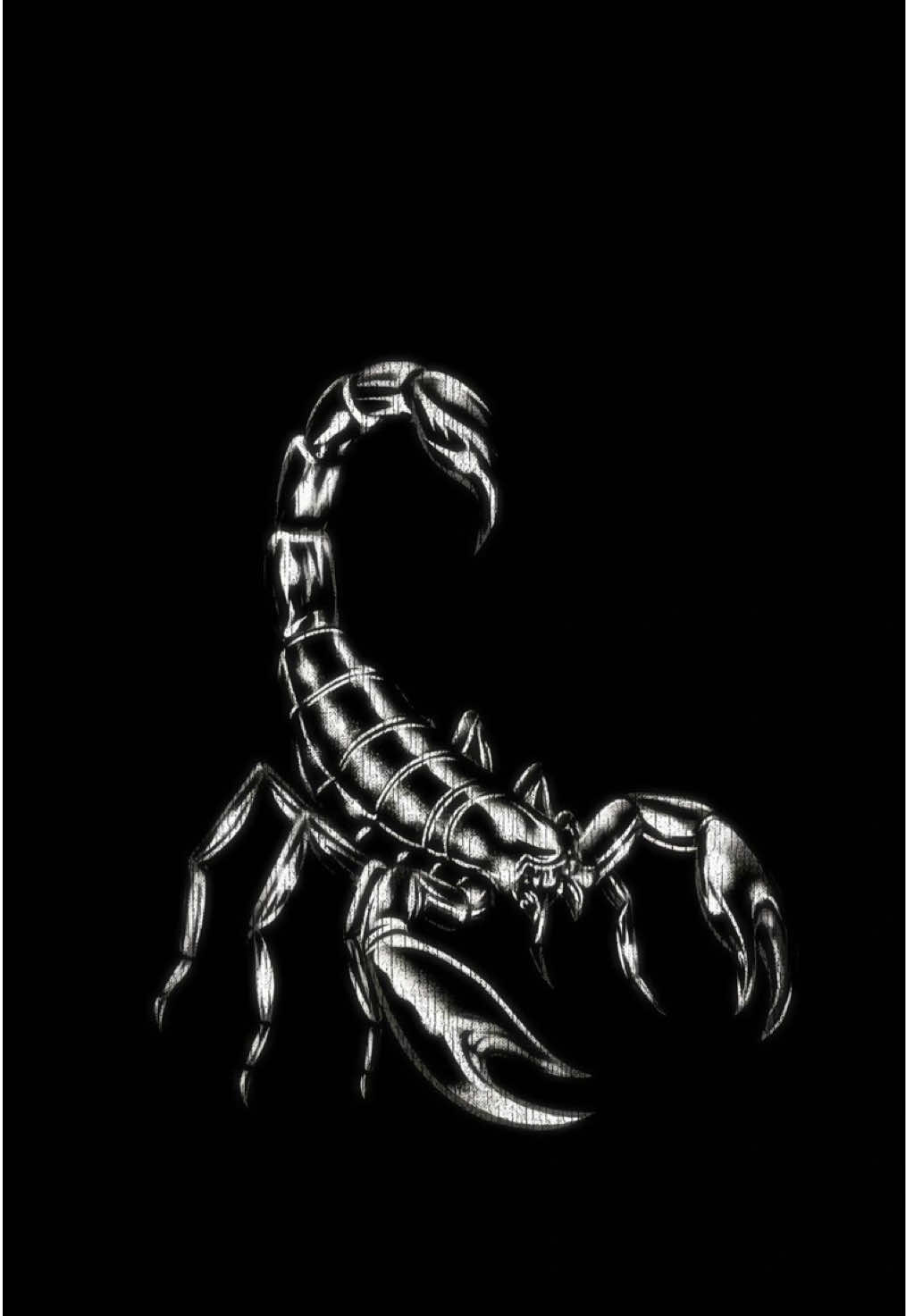 @BABY M1KO🦂