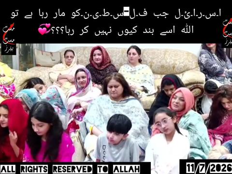 @Shu Maila