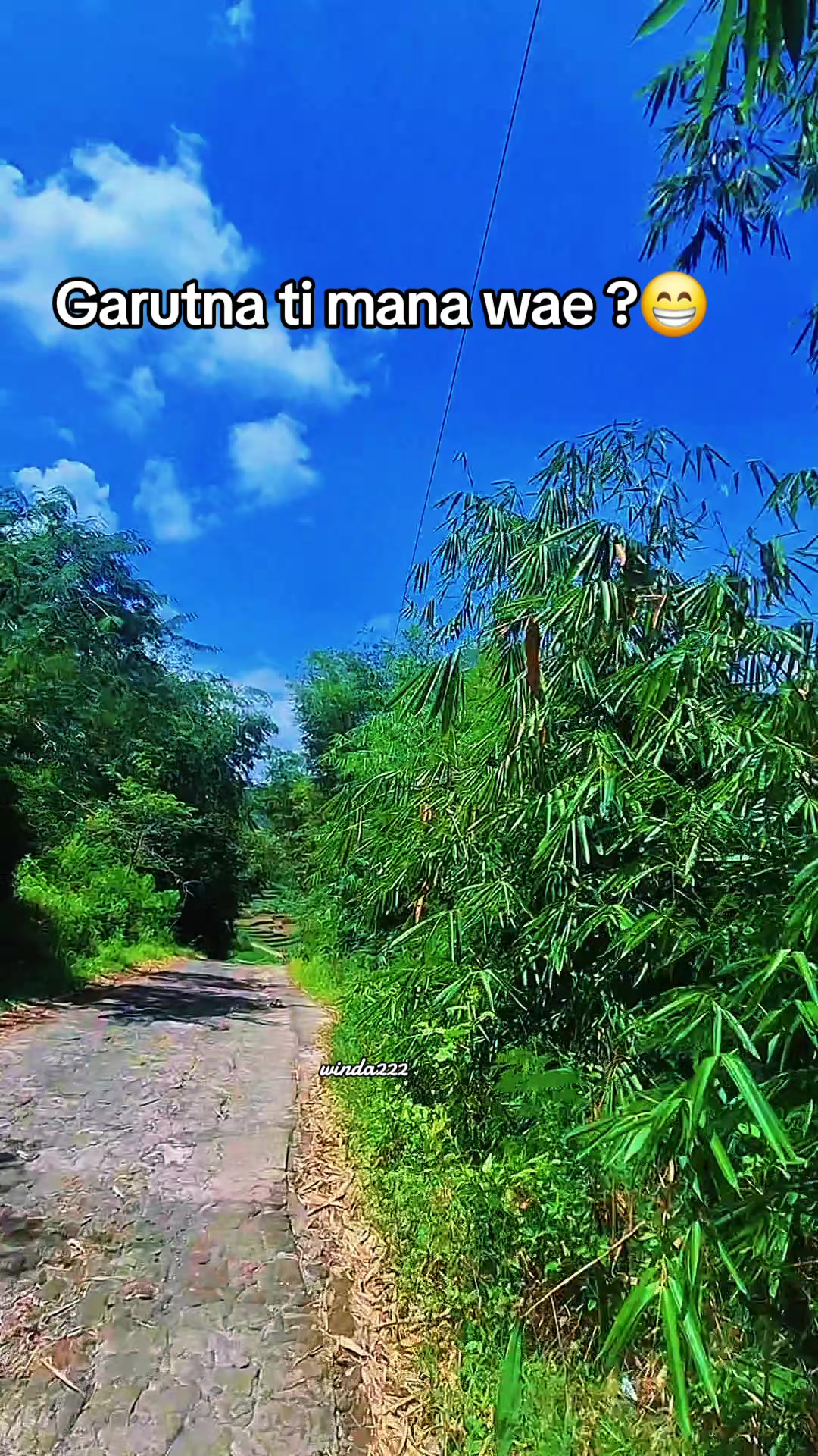 @🌹🎀🆆🅸🅽🅳🅰222🎀🌹