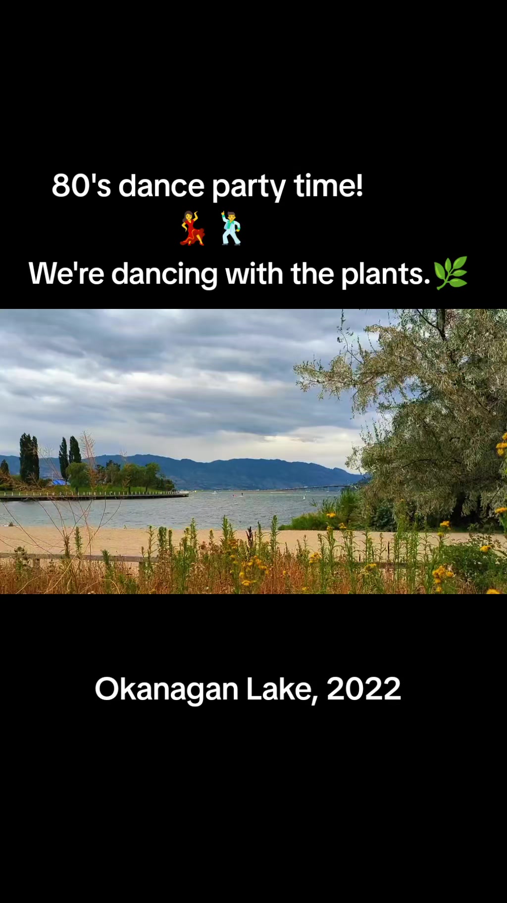 @MommaChonk🇨🇦