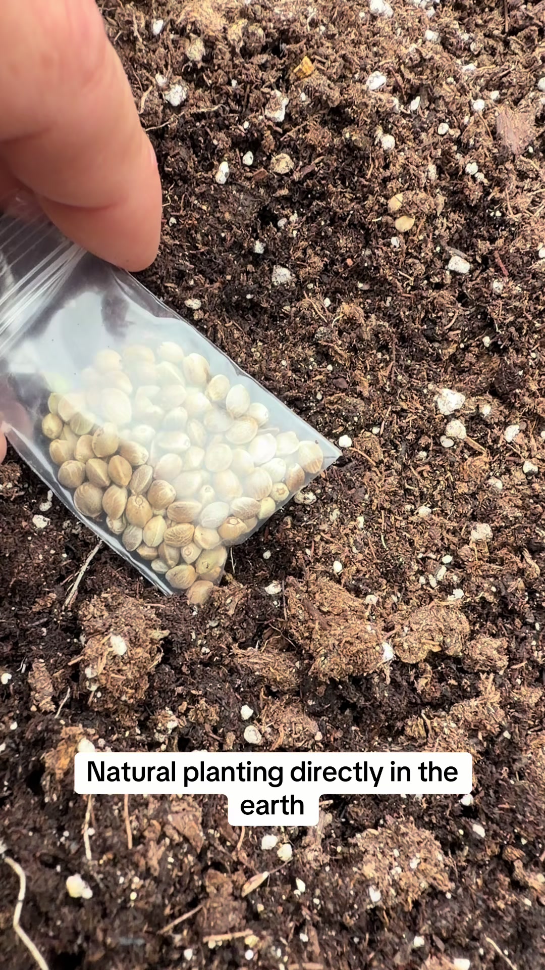 @SEEDTIVA