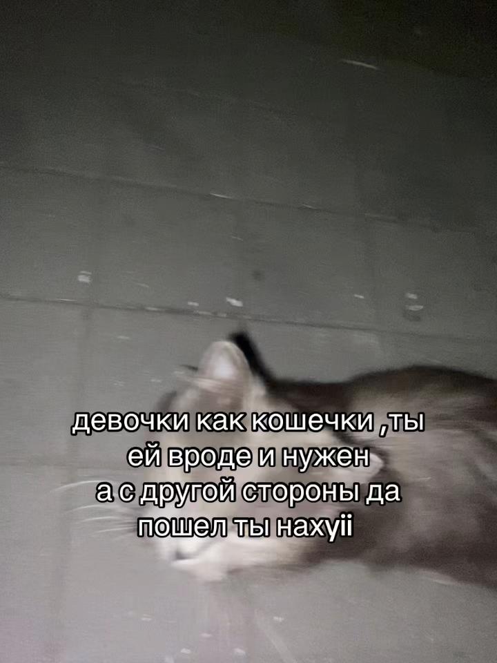 @с любовью из ада🖤