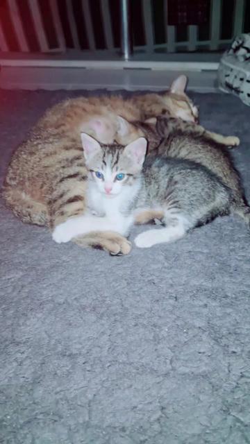 @🇹🇷😻PABLO🇹🇷😻