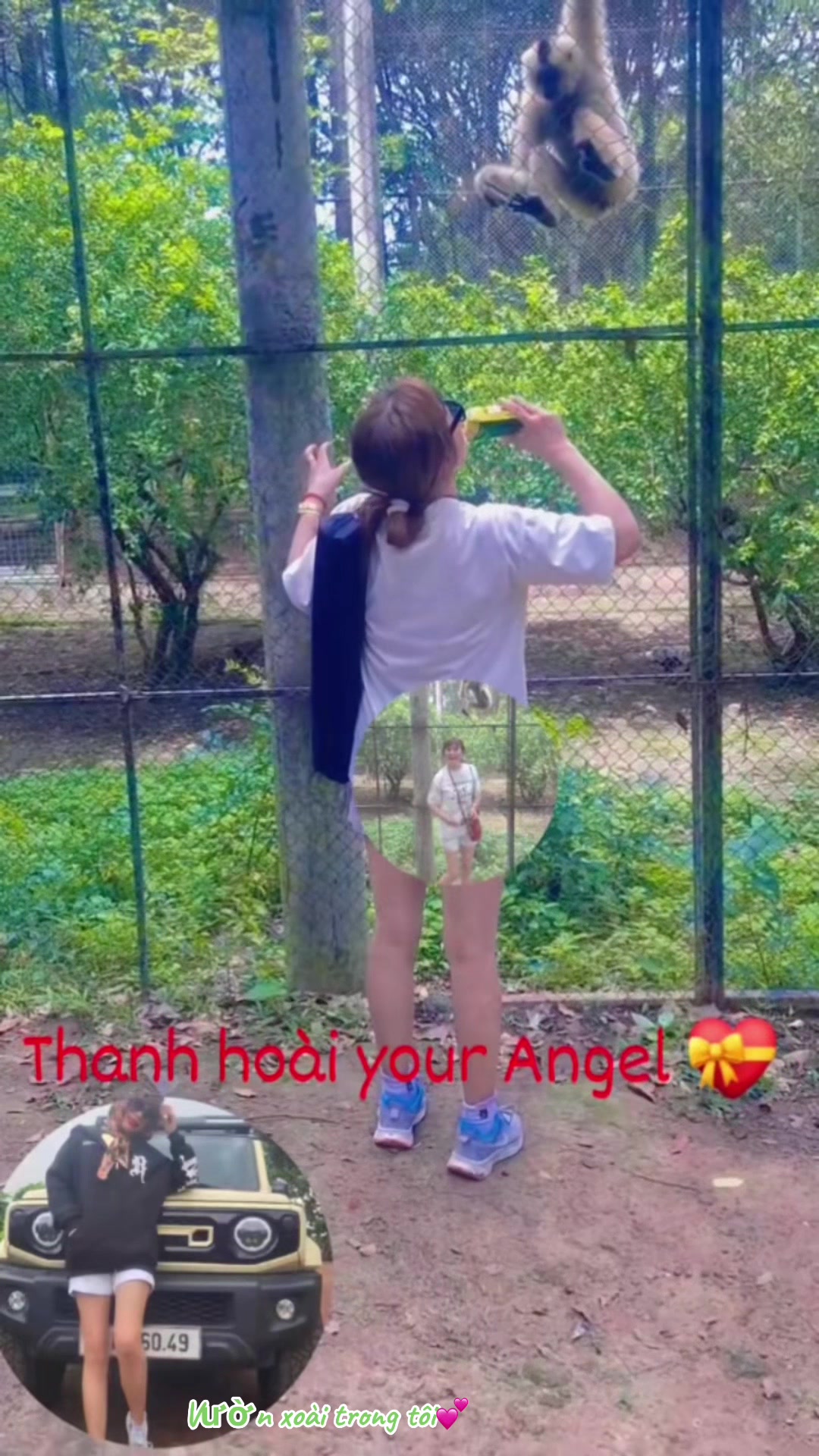 @CHỊ Đẹp thanh hoài your engel
