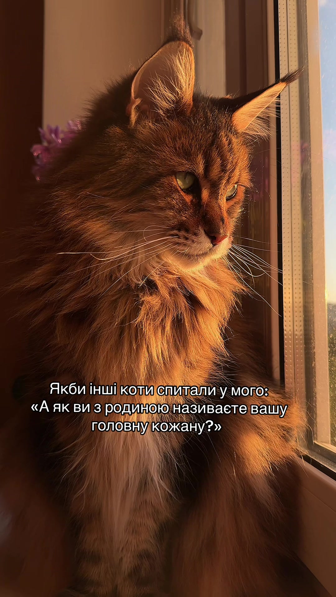 @vladimirova_lenka