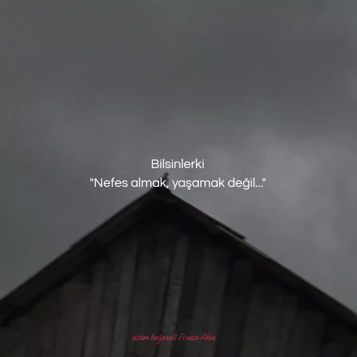 @firuzɛ⚘️