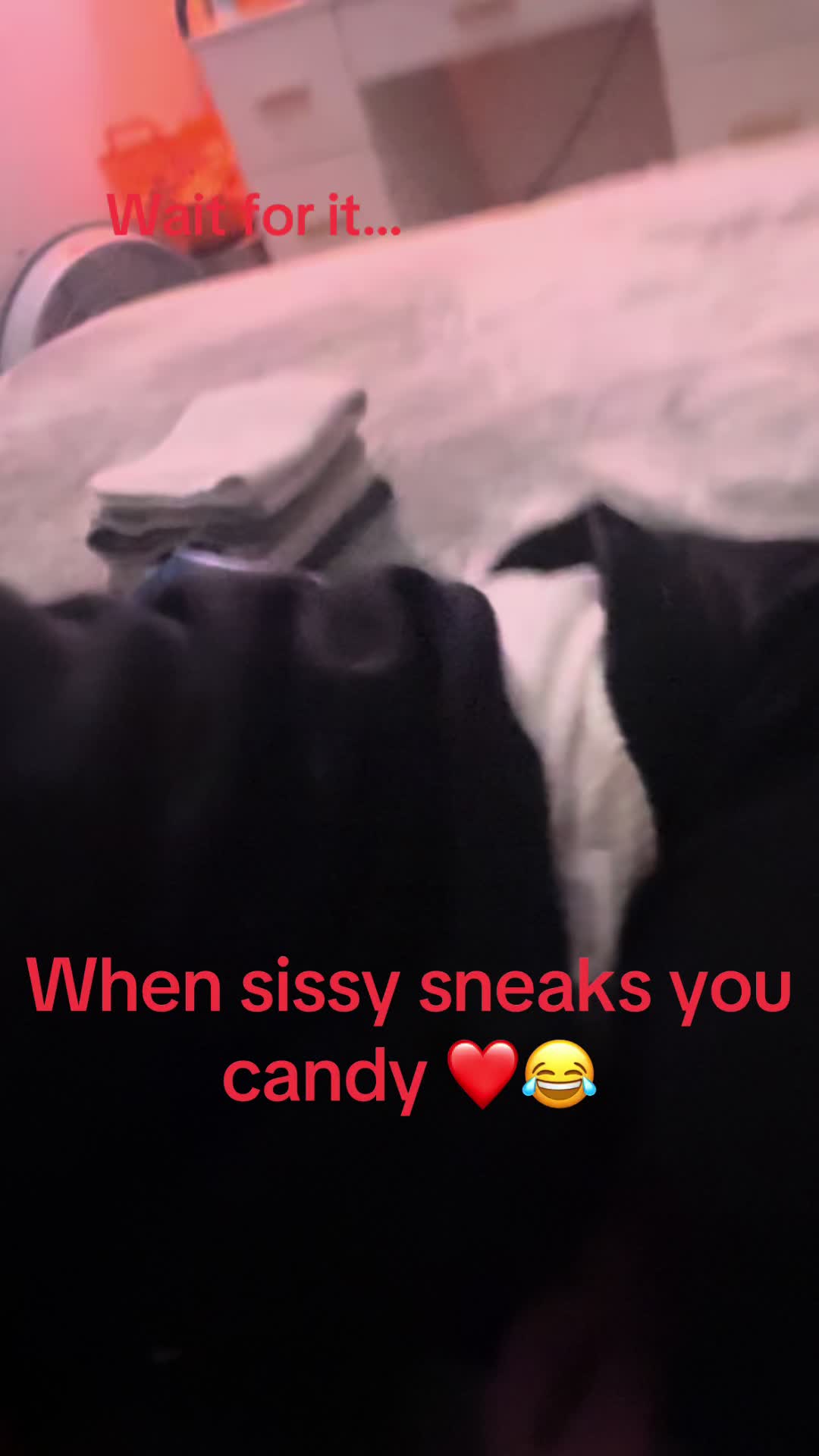 @Mrs.Punohu