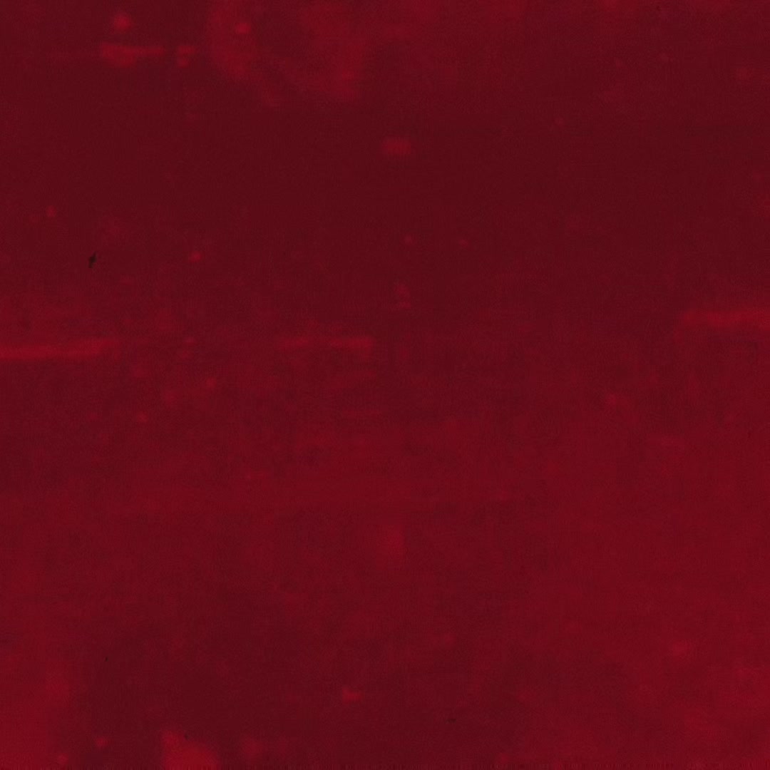 @𝘮𝘺𝘢 ⟢