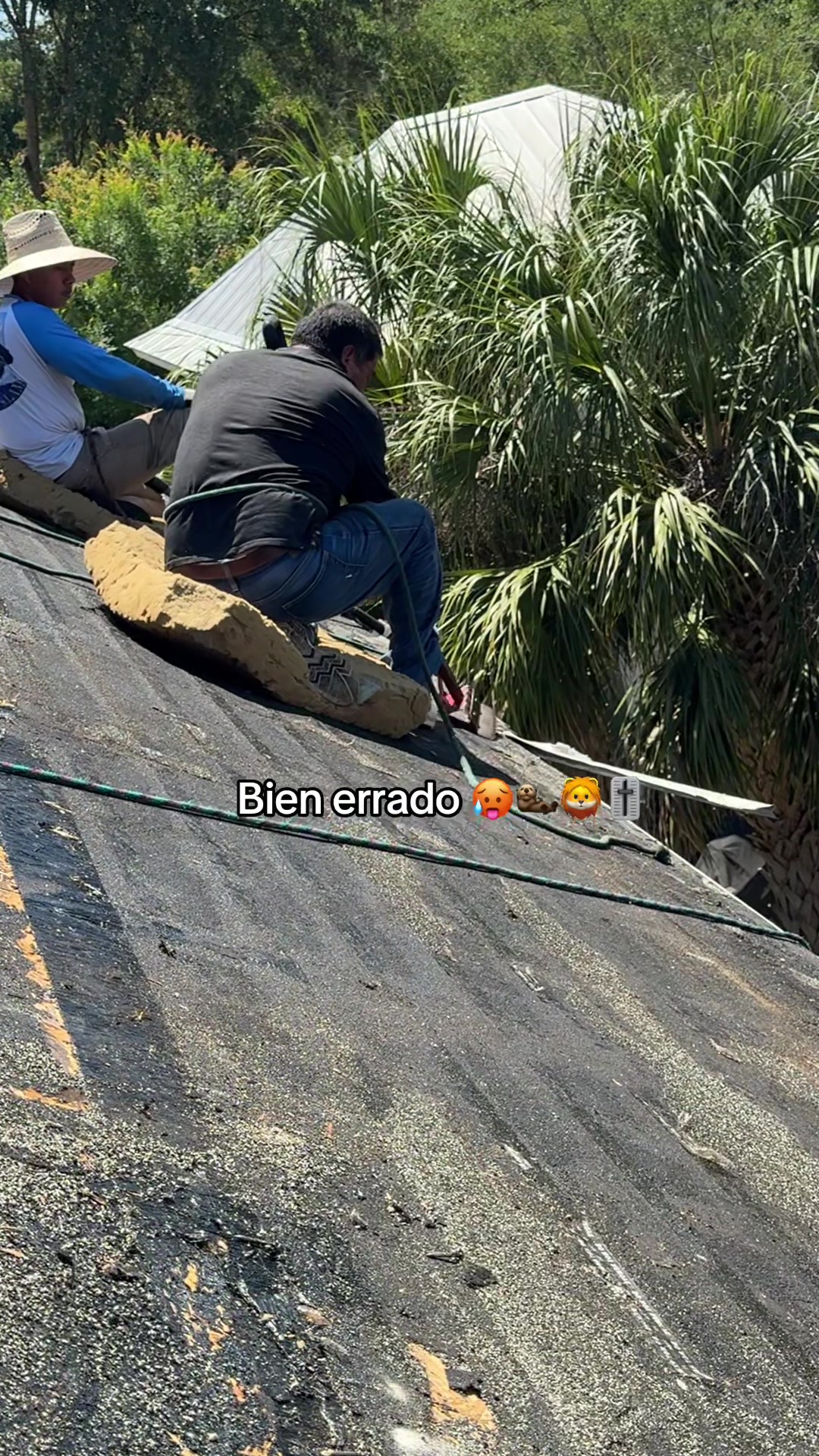@alex_montejo05