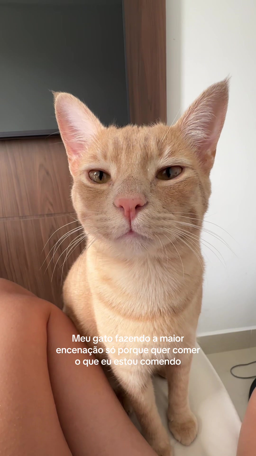 @Mônica Frutuoso