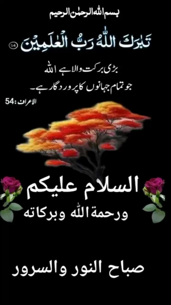 @Allah ki laadli🥰💯🫀