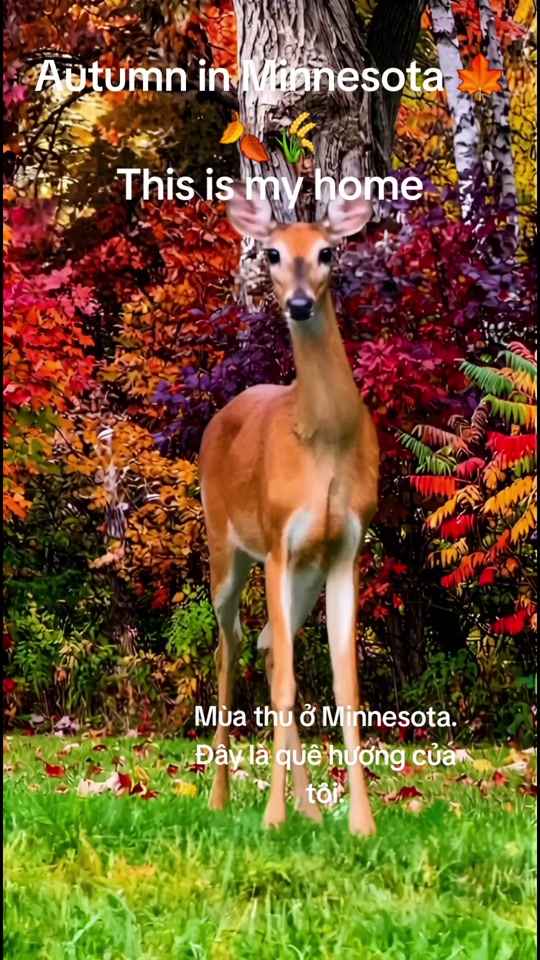 @WilliamMinnesota