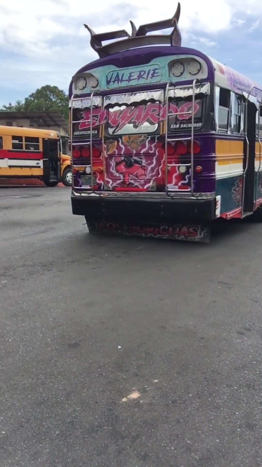 @buses elegantes 503