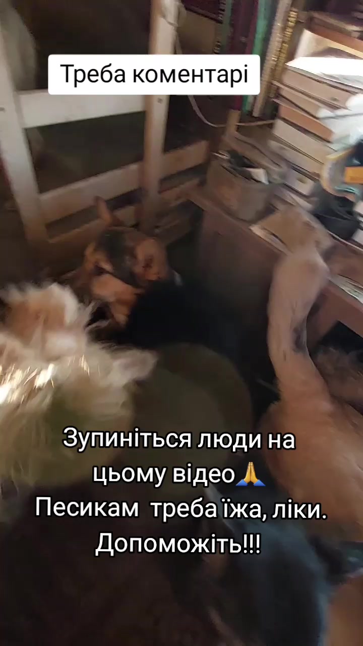 @tvarinkidobra