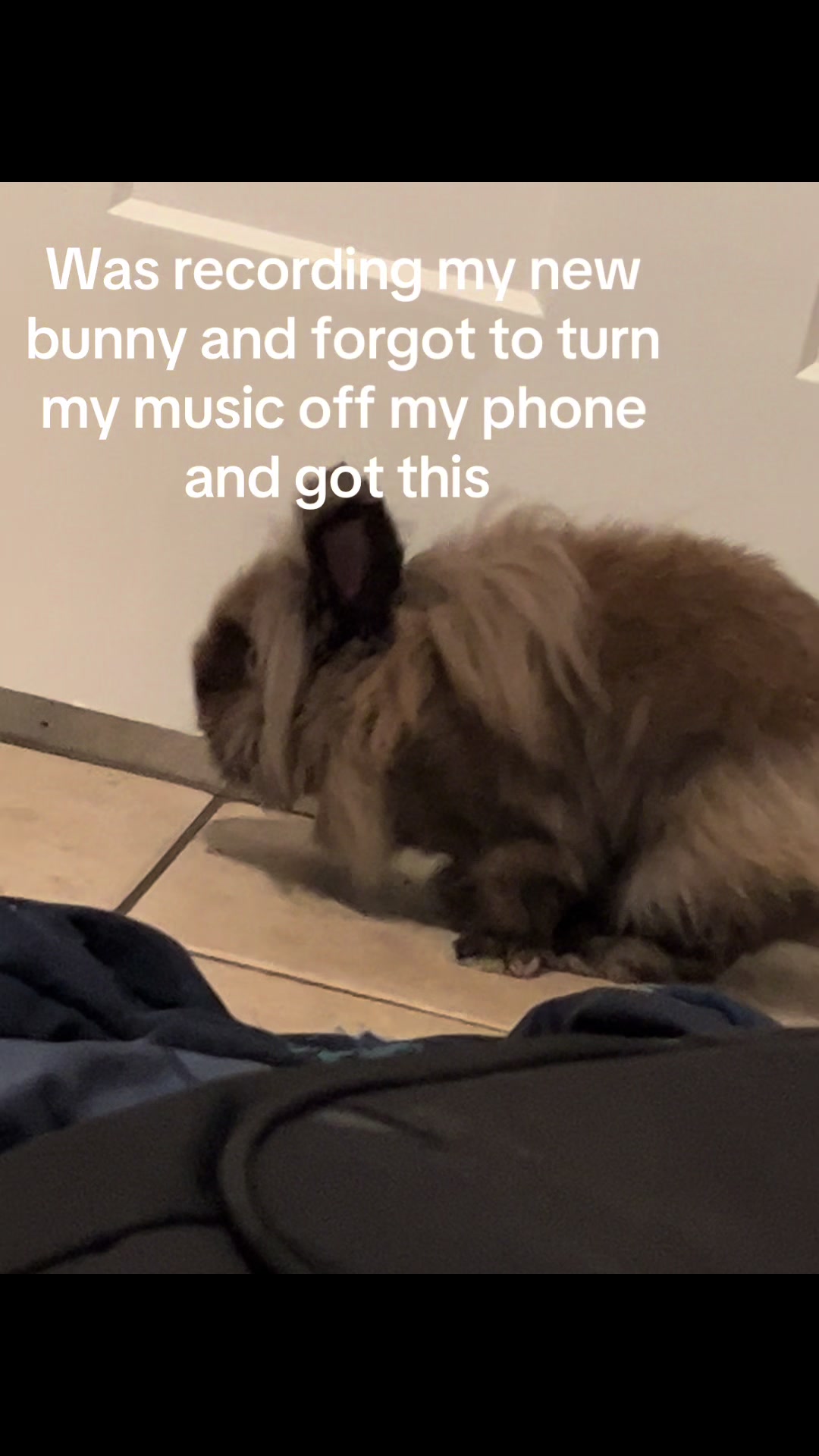 @Fadedbunny69