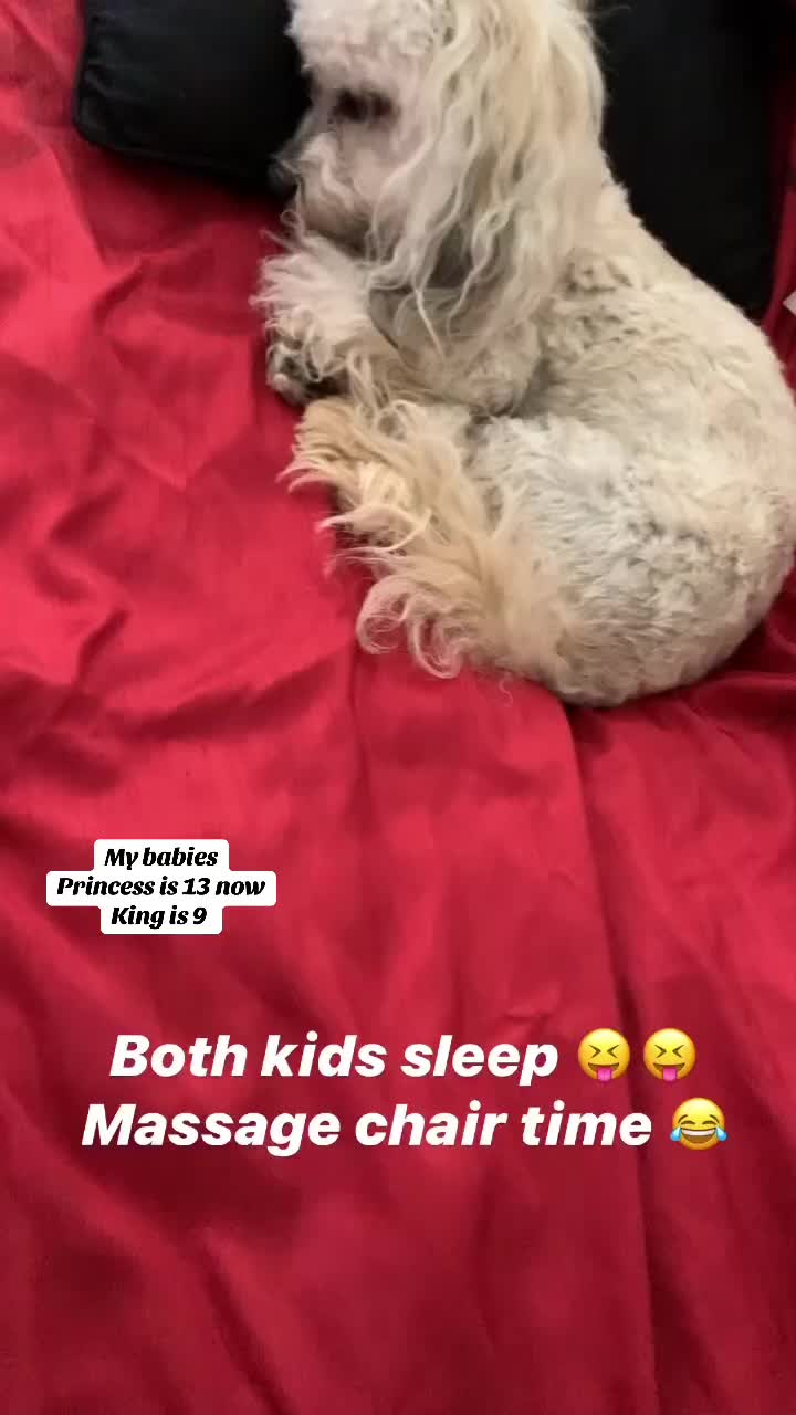 @teamelitevh