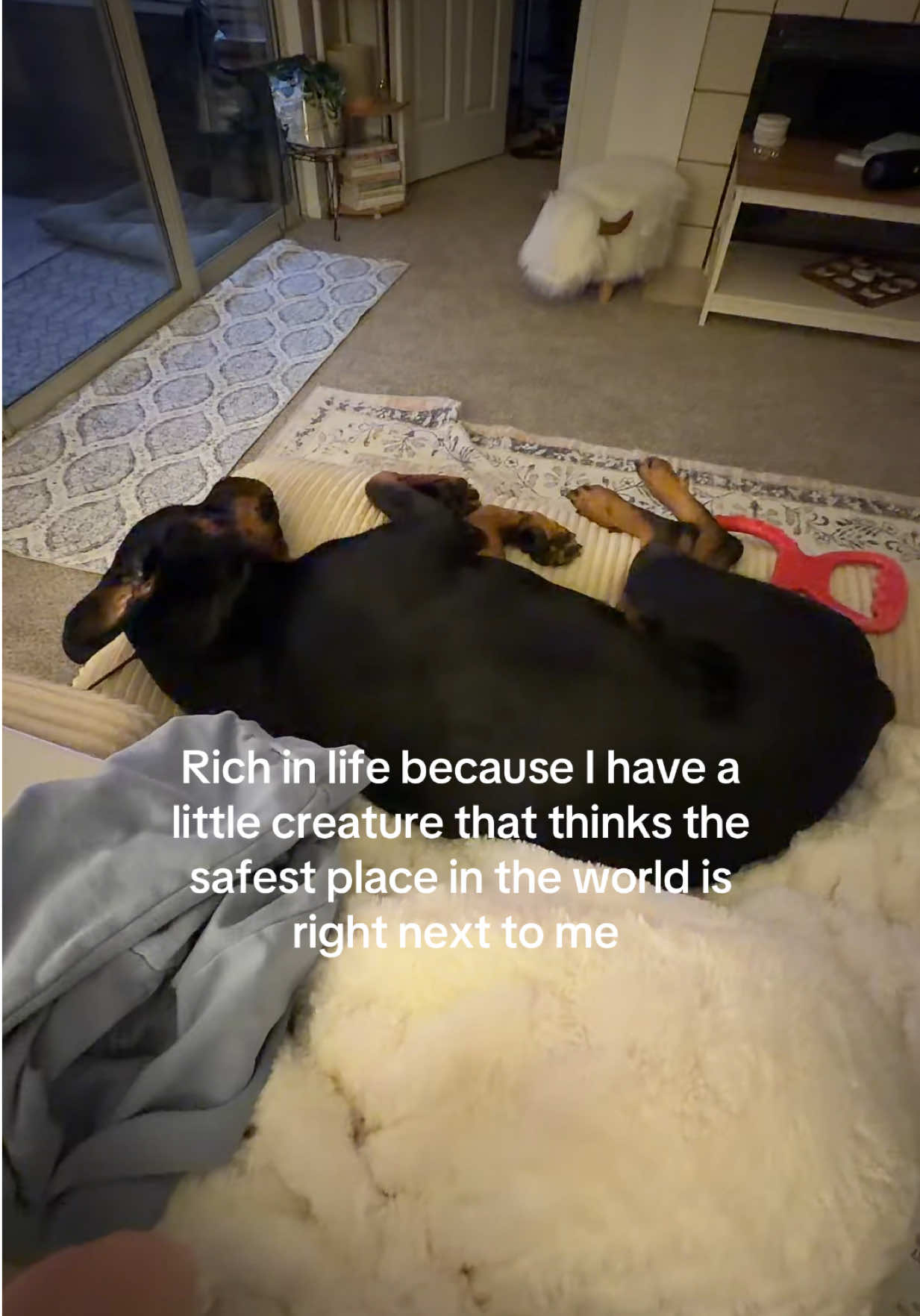 @Mia the Rottie